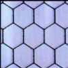 Hexagonal Wire Cloth